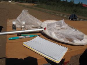 Fig. 5 Essentials for damselfly collecting; a net, vials, notebook and something to write with.